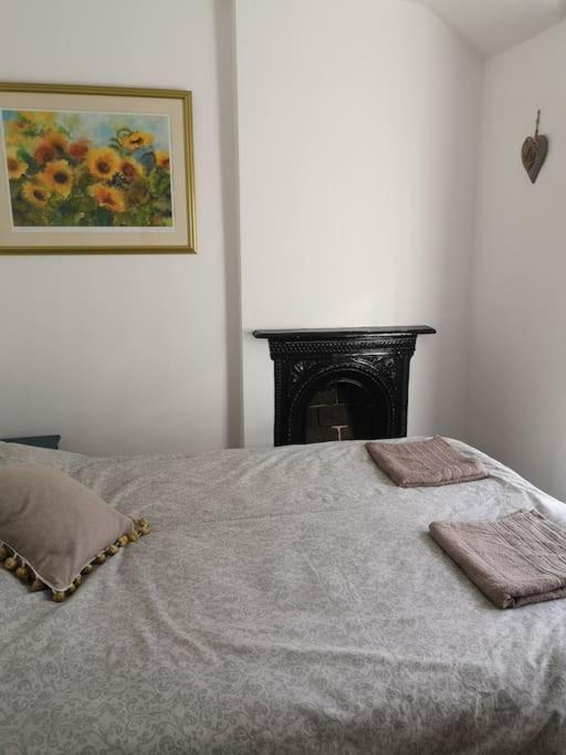 באלנאו פסטיניוג Dol Bach - Your Homely Welsh Cottage In The Heart Of Snowdonia מראה חיצוני תמונה