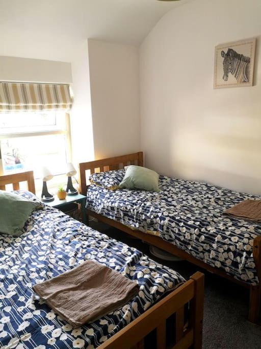 באלנאו פסטיניוג Dol Bach - Your Homely Welsh Cottage In The Heart Of Snowdonia מראה חיצוני תמונה