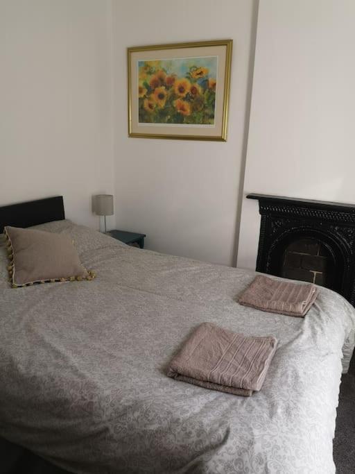באלנאו פסטיניוג Dol Bach - Your Homely Welsh Cottage In The Heart Of Snowdonia מראה חיצוני תמונה
